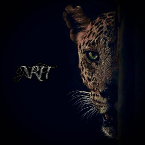 国产特级毛片A高清
