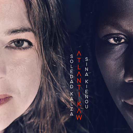 国产特级毛片A高清
